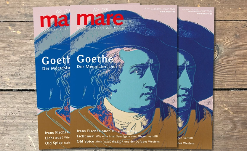 Heft News