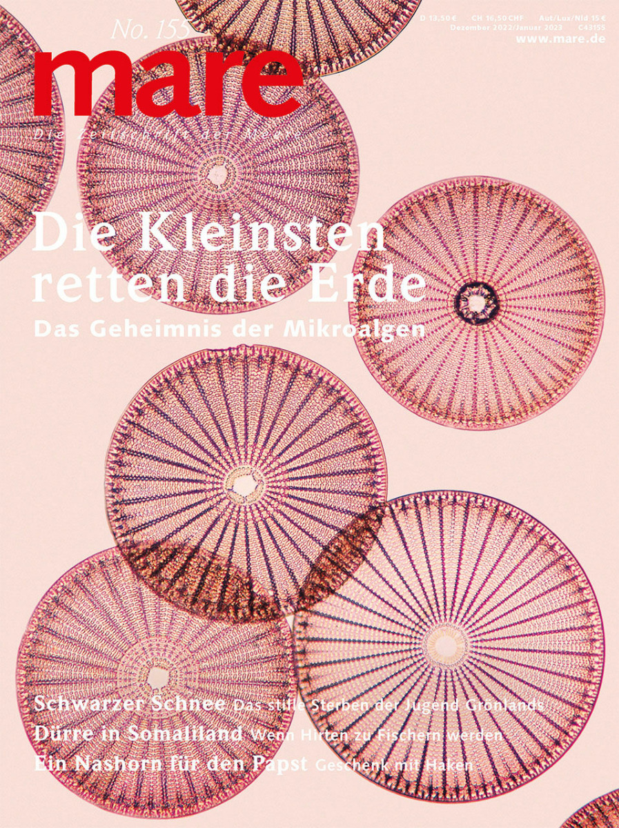 Heft 155: Die kleinsten retten die Erde